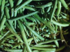 French Beans gallery 2