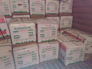 Consignment-of-apples-from-kinnaur