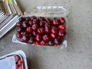IMG-20220424-WA0004