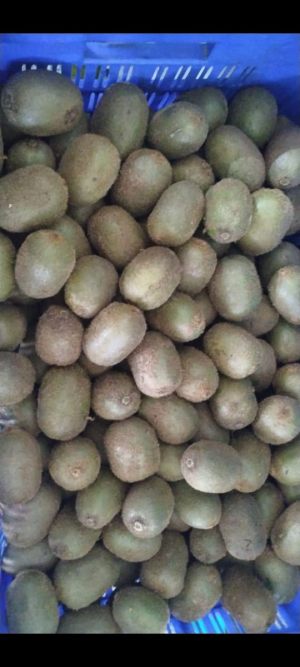 IMG-20220615-WA0008