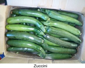 Zuccini-copy