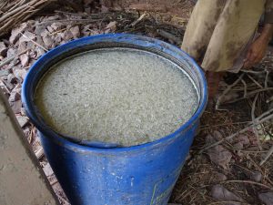 prepared-microorganisms